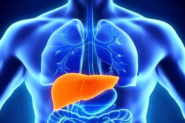 پیشگیری از سرطان کبد
