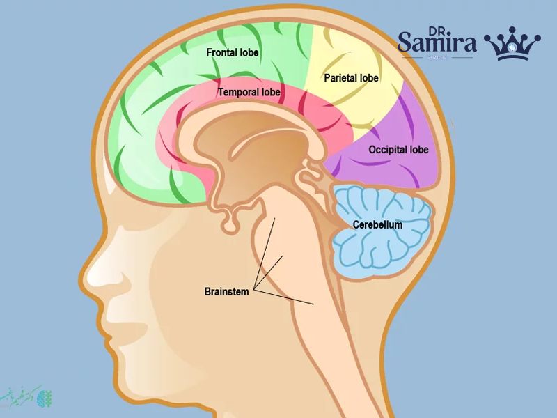 آستروسیتوم گرید ۴