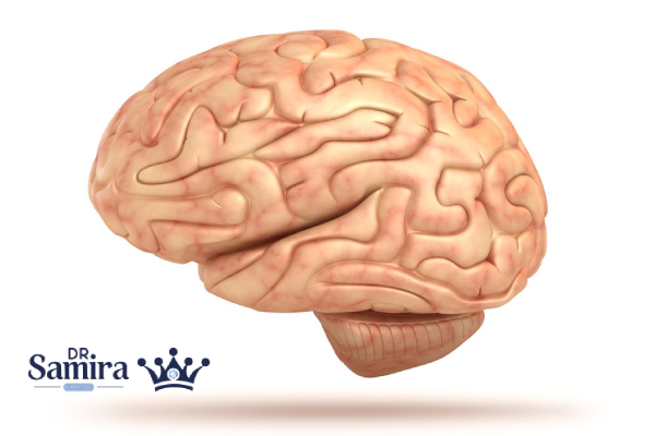 اپاندیموم گرید ۲ مغزبالینی و اپیدمیولوژی